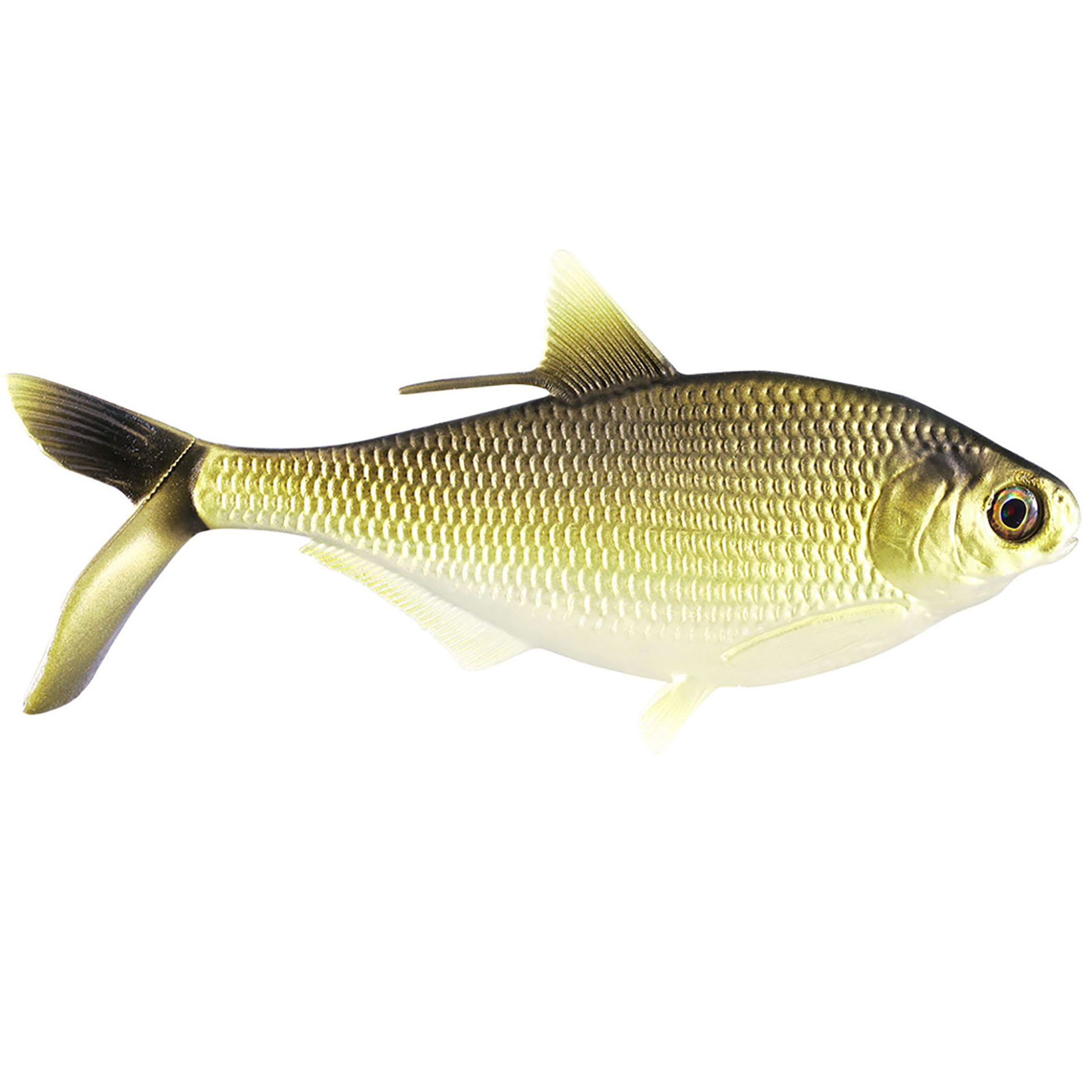 13 Fishing B.A.M.F. Shad Swimbait 20cm 104g - Shop
