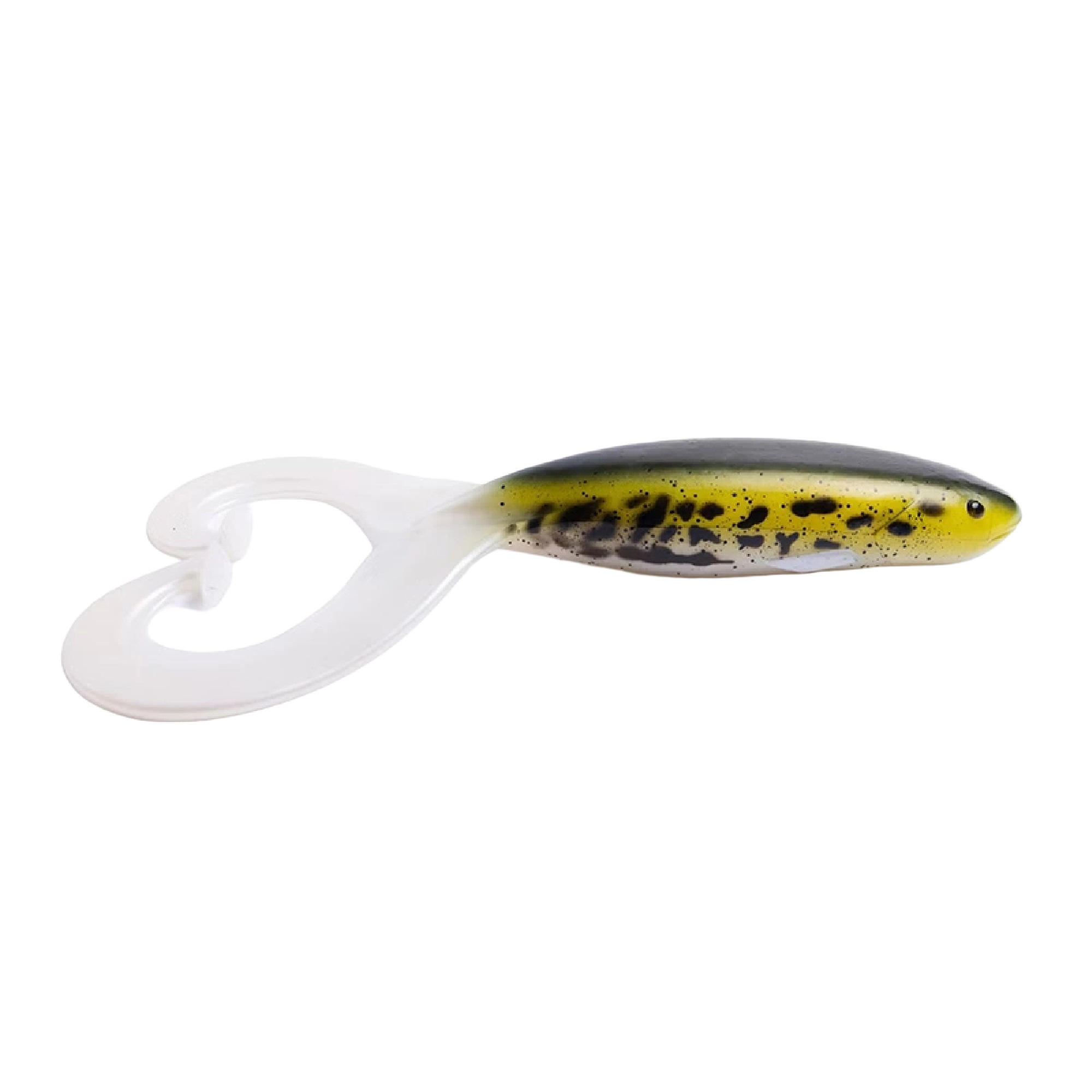 gator-catfish-twin-natural-butbot_birefnet