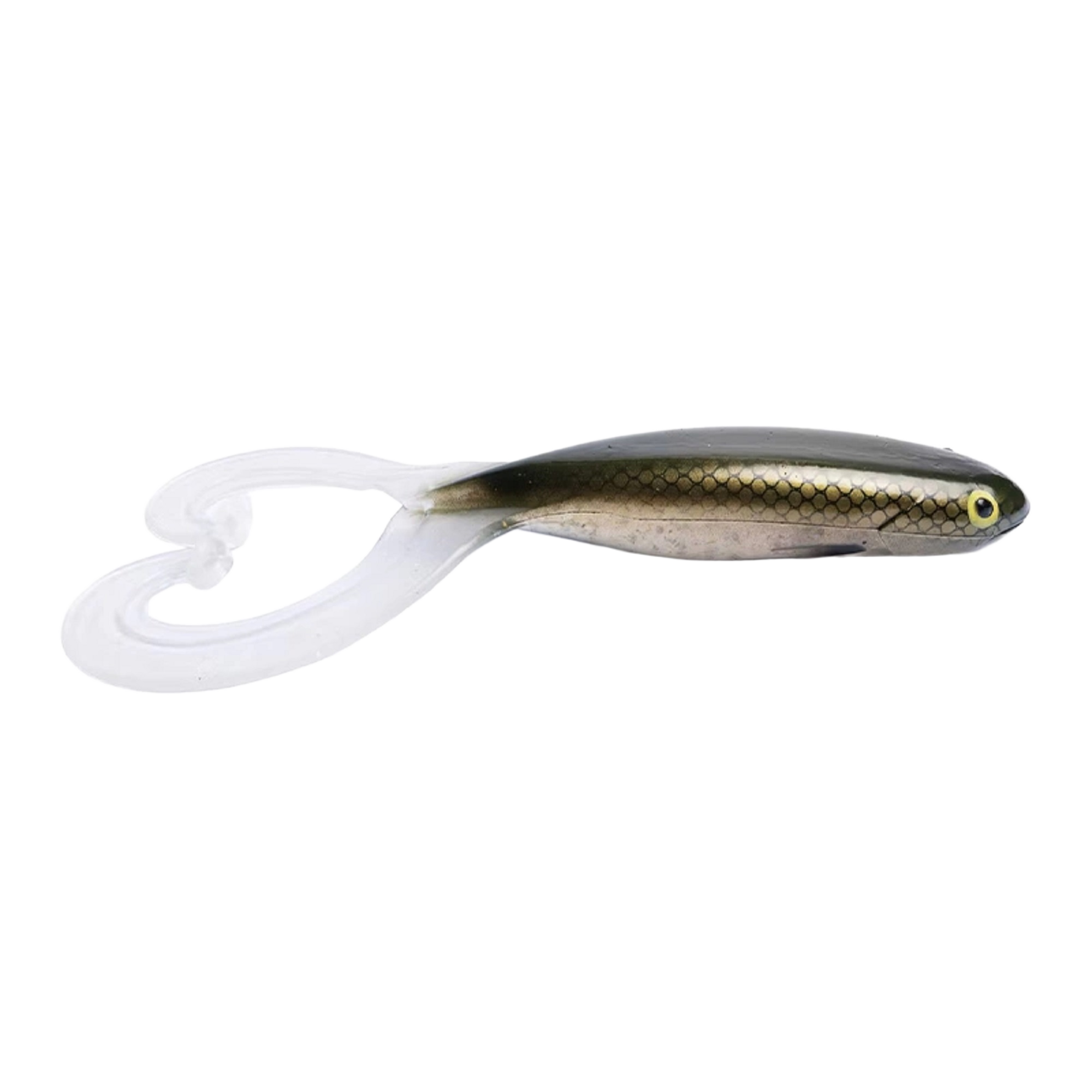 gator-catfish-twin-sparky_birefnet